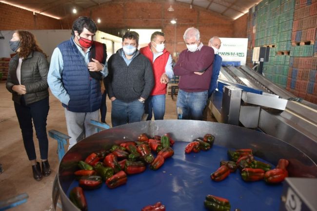 Anuncios desde Gral. Pizarro