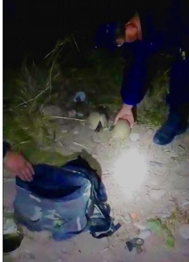 Quirquinchos en Luis Burela