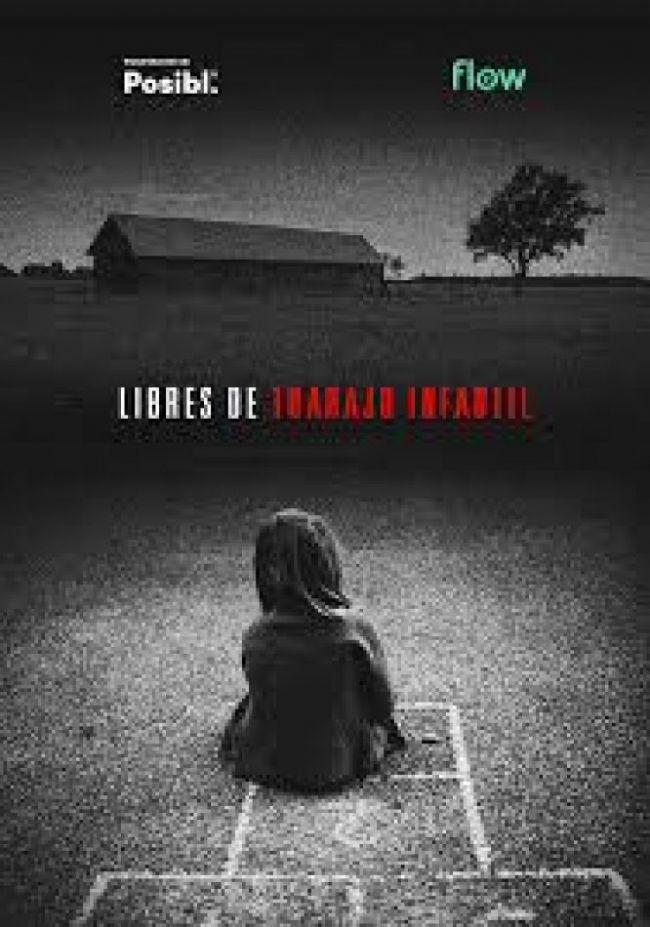 Flow se une con Posibl