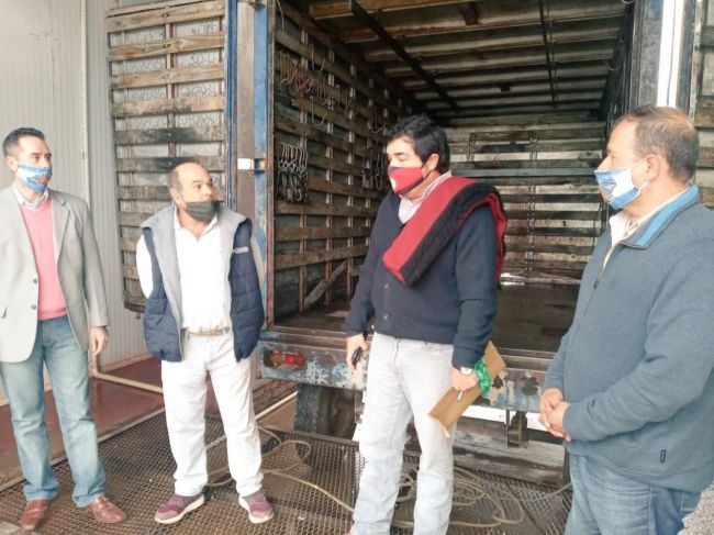 Mataderos regionales para evitar la faena ilegal