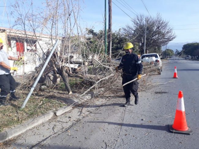 Consecuencias del zonda