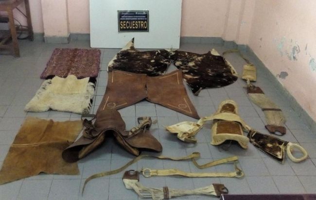 Las monturas recuperadas