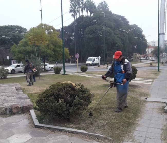 Arreglo de platabandas