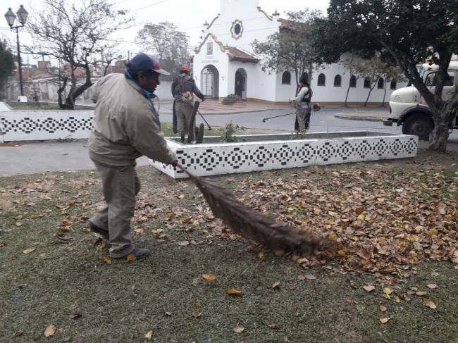 Mantenimiento en espacios verdes