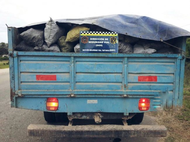 Secuestro de carbón que era transportado sin documentación