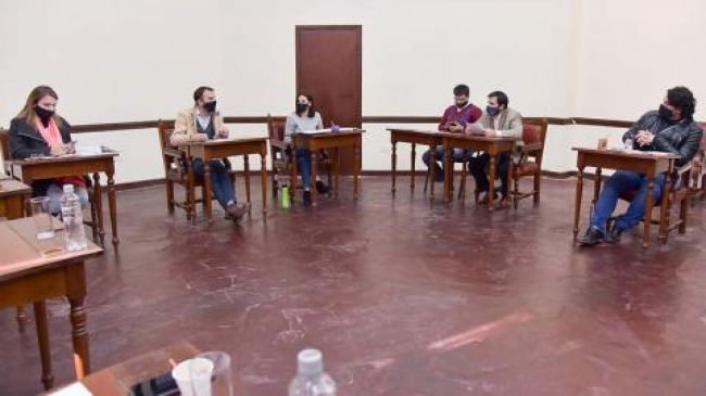 Carta Municipal en análisis