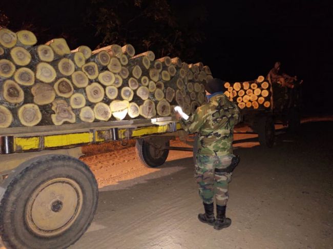 Cargamento de madera