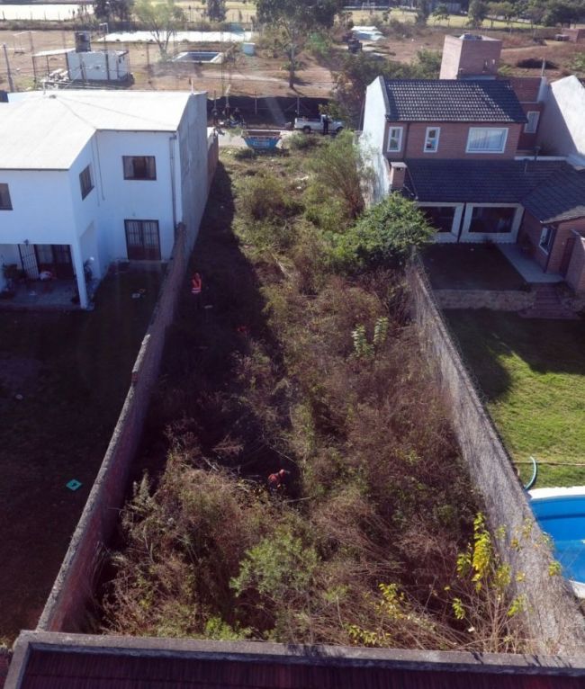 Baldío sin mantenimiento