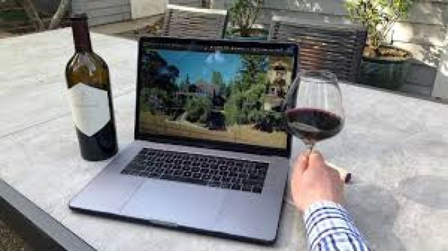 Vinos de altura y virtuales
