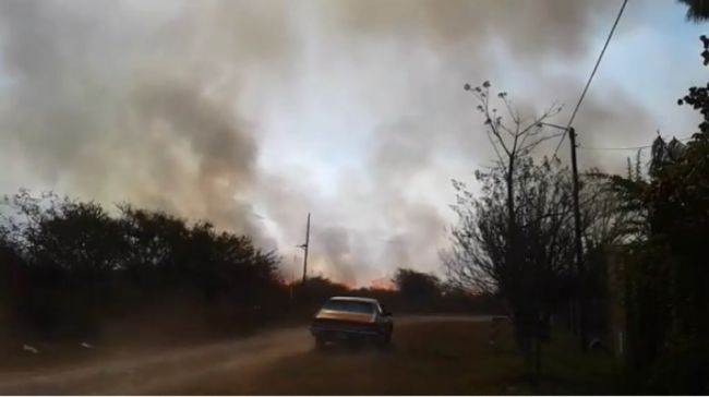 Incendio de pastizales en zona sur