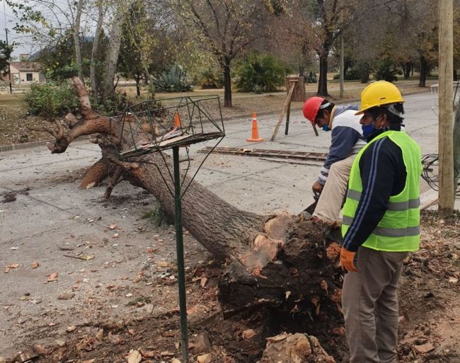 Los trabajos están a cargo del municipio