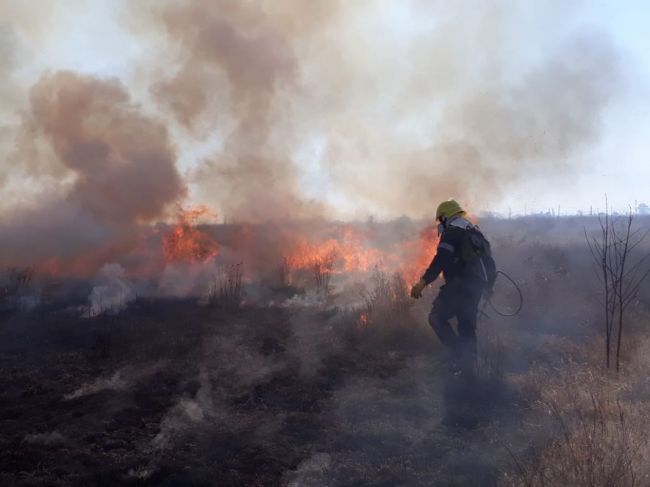 Incendios de pastizales