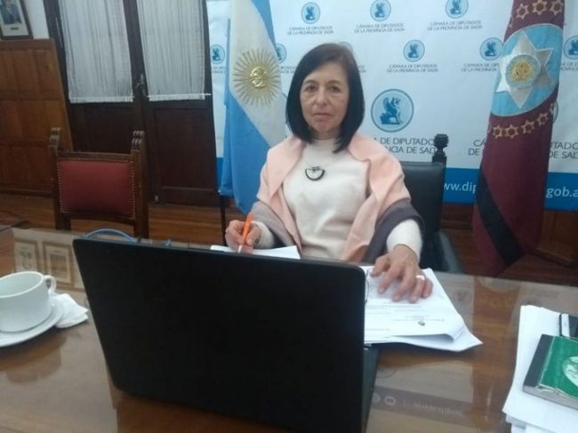 Los legisladores del kirchnerismo sesionaron desde la Legislatura provincial