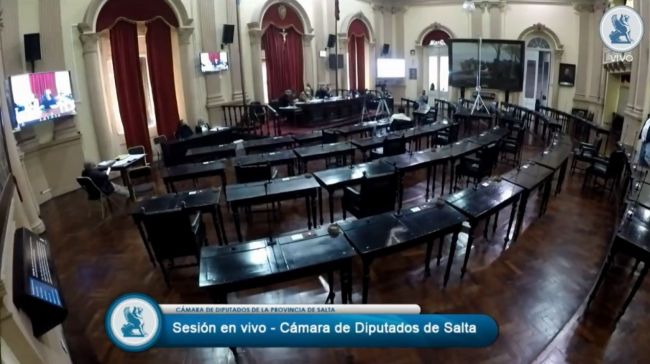 Sesión virtual en Diputados
