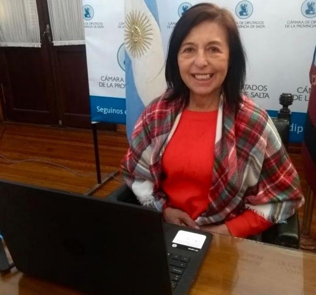 Senadora Jimenez sesionando online