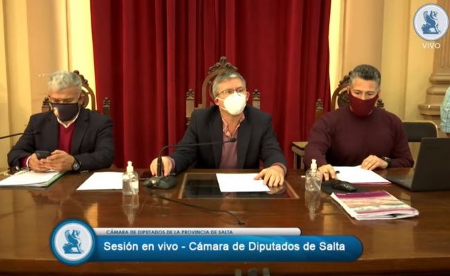 Sesión virtual de Diputados