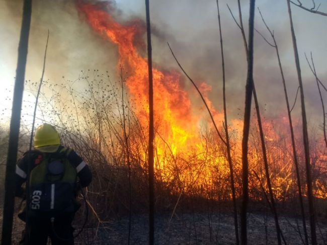 Incendio de pastizales