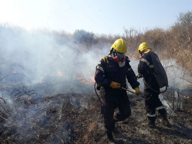 Otro incendio de pastizales