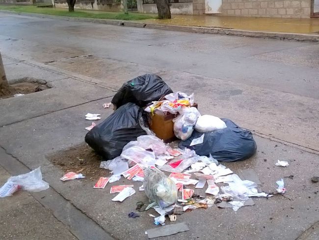 Los servicios de recolección se cumplen con retrasos