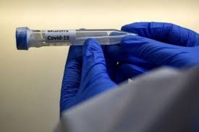 Desde el lunes Salta registró 229 casos de Covid_19