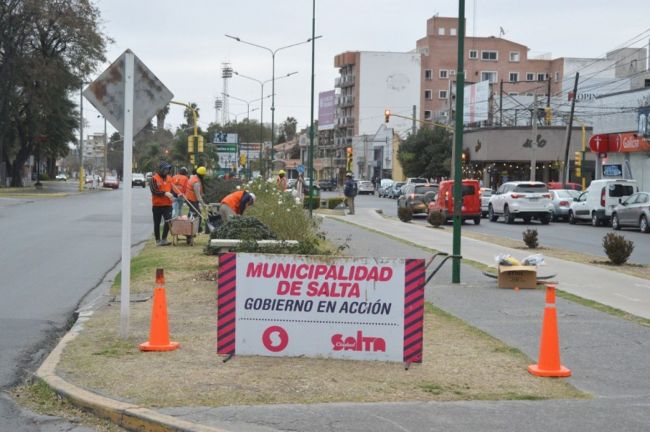 Trabajos en platabandas