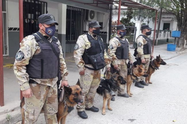 La división canes intervino en el operativo