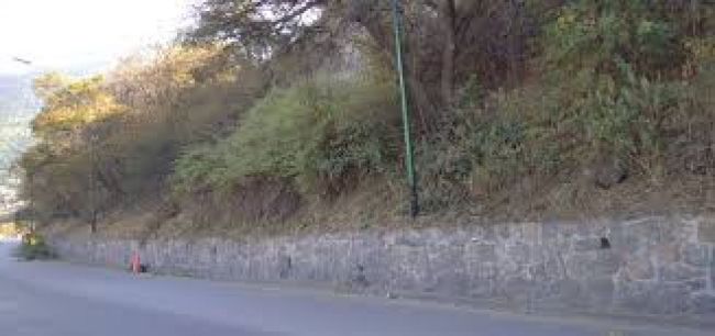 El Parque se ubicaría en la zona este de la ciudad