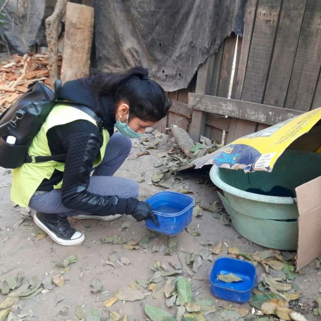 Campaña contra el dengue en Orán