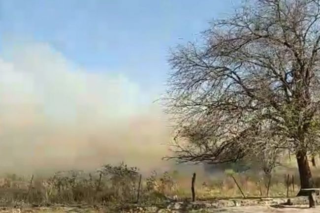 Alerta por posible viento zonda