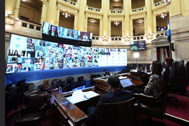 Sesión remota en el Senado