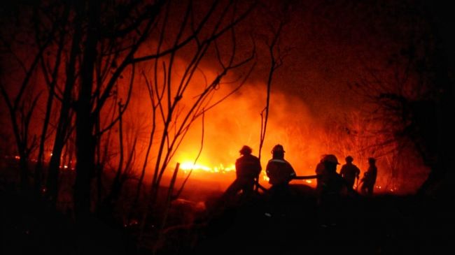 El incendio cobró grandes proporciones