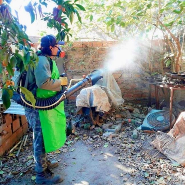Fumigación y descacharrado en Orán
