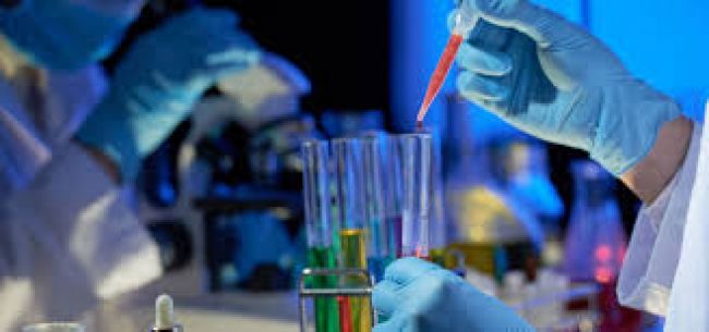 Salta totaliza a la fecha 1.331 casos con residencia en la provincia