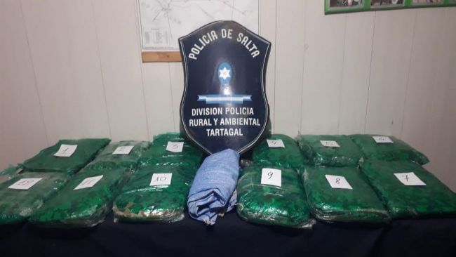 Decomiso de hojas de coca