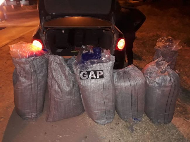 La coca está valuada en casi medio millón de pesos