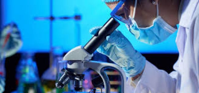 El viernes cierra con 80 nuevos casos en Salta