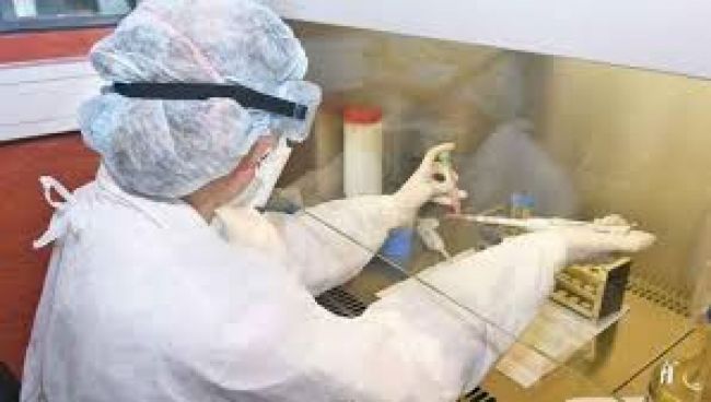 Los casos acumulados suman 1.666