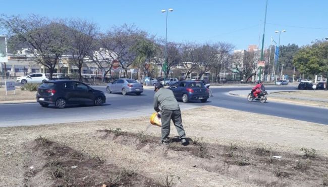 Trabajos en platabandas