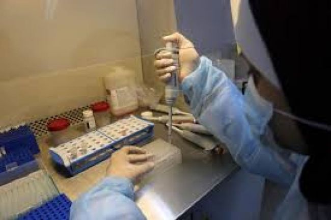 Salta acumula 3.155 casos de coronavirus