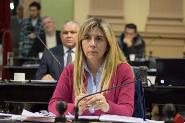 Diputada Alejandra Navarro