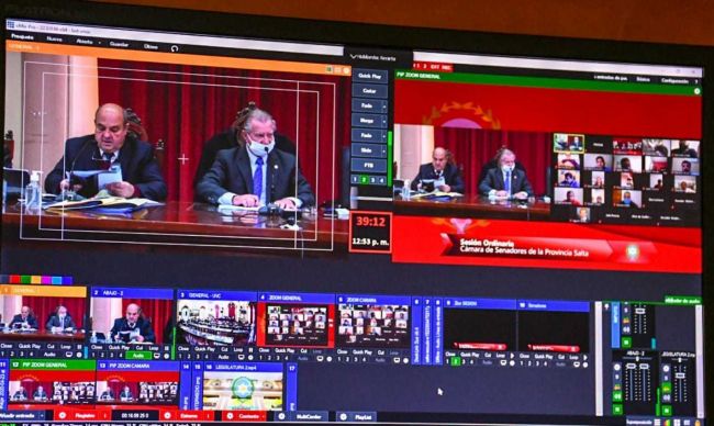 Sesión remota del Senado