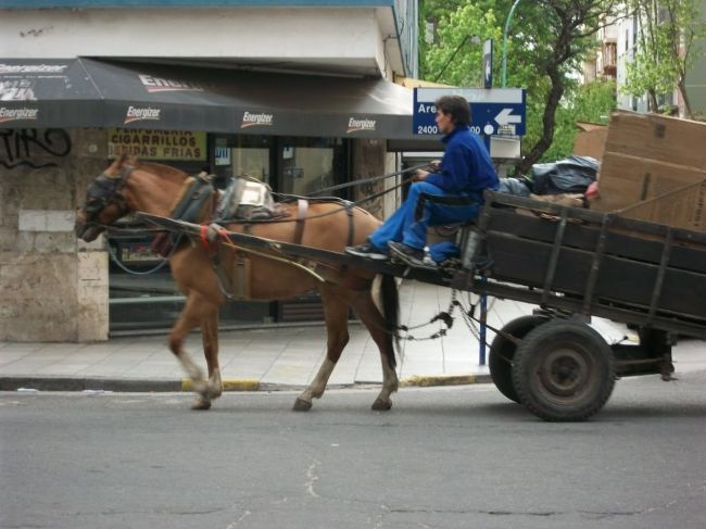 Se reemplazarán los carros tirados por caballos