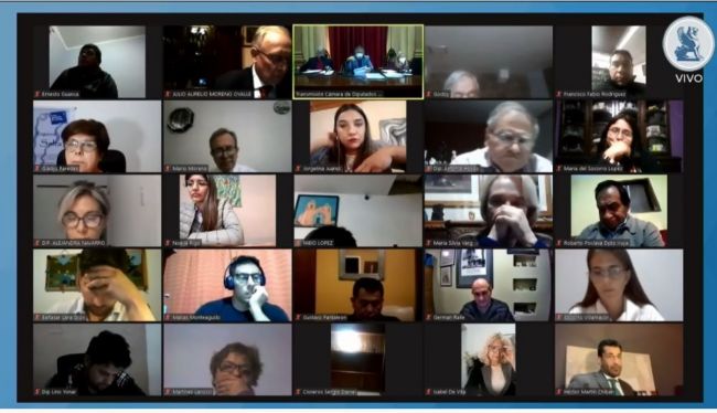 Sesión remota en Diputados