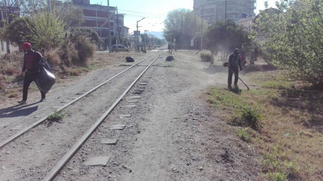 Operativo de limpieza