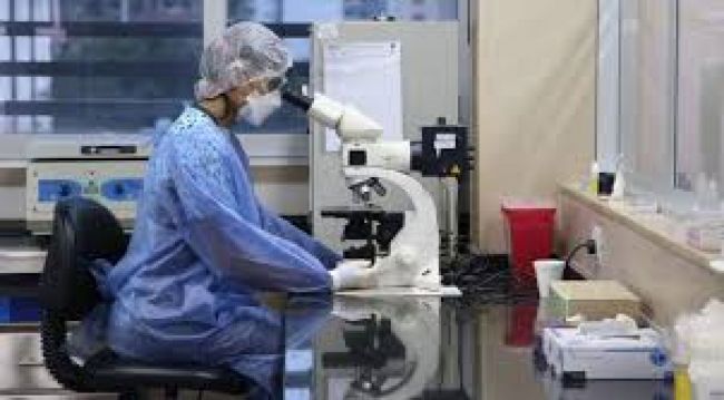 Ya suman 6.679 los casos en Salta