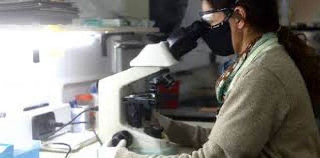 Las víctimas según cifras oficiales se acercan al centenar