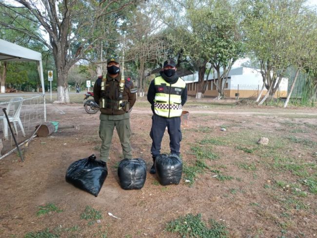 Cargamento de hojas de coca