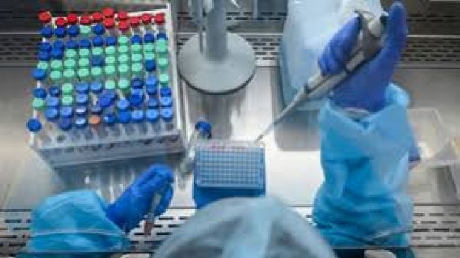 Salta acumula 9.038 casos