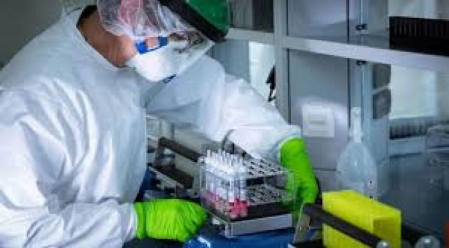 Salta suma 9.749 casos de coronavirus