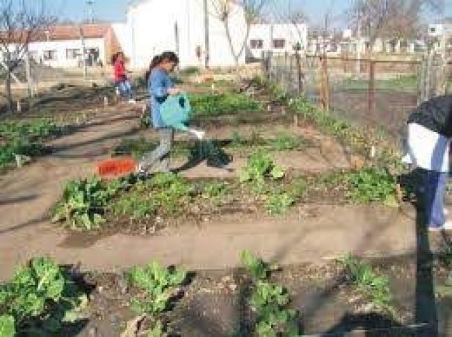 De baldíos a huertas comunitarias